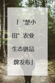 “楚小田”农业生态链品牌发布