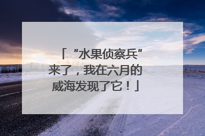 “水果侦察兵”来了，我在六月的威海发现了它！