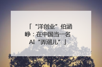 “洋创业”伯涵峥：在中国当一名AI“弄潮儿”