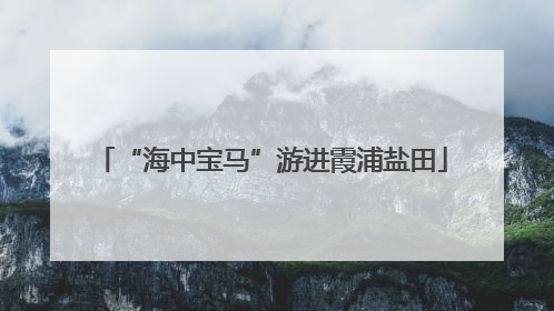 “海中宝马”游进霞浦盐田