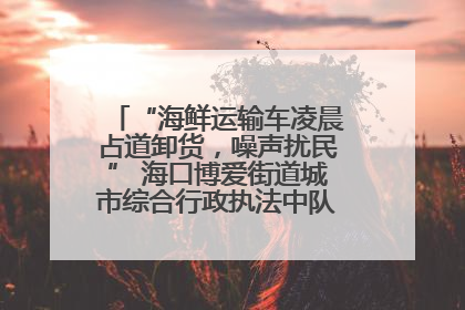 “海鲜运输车凌晨占道卸货，噪声扰民” 海口博爱街道城市综合行政执法中队：将联合交警加强长堤路一带巡逻