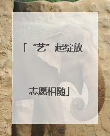 “艺”起绽放 志愿相随