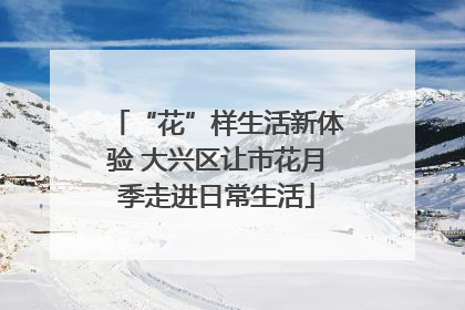 “花”样生活新体验 大兴区让市花月季走进日常生活