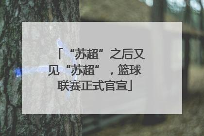 “苏超”之后又见“苏超”，篮球联赛正式官宣