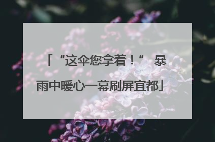 “这伞您拿着！” 暴雨中暖心一幕刷屏宜都