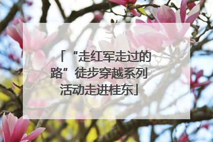 “走红军走过的路”徒步穿越系列活动走进桂东