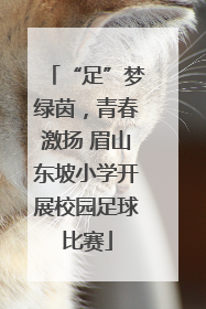 “足”梦绿茵，青春激扬 眉山东坡小学开展校园足球比赛