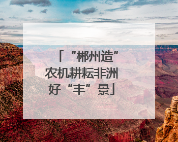 “郴州造”农机耕耘非洲好“丰”景