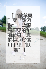 “酸苹果”变“甜酒酿”！盐源高原果的华丽转身，靠的是这场浙川千里“联姻”