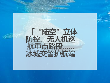 “陆空”立体防控、无人机巡航重点路段……冰城交警护航端午假期出行