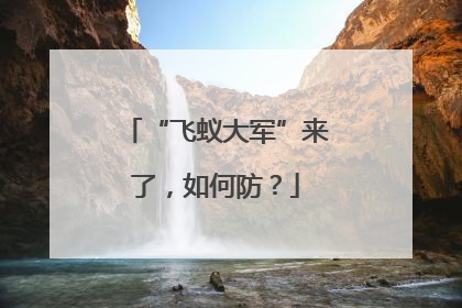 “飞蚁大军”来了，如何防？