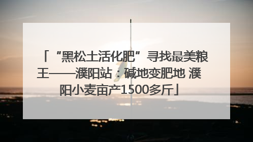 “黑松土活化肥”寻找最美粮王——濮阳站：碱地变肥地 濮阳小麦亩产1500多斤