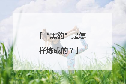 “黑豹”是怎样炼成的？
