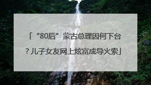 “80后”蒙古总理因何下台？儿子女友网上炫富成导火索