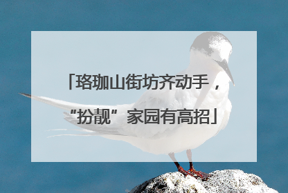 珞珈山街坊齐动手，“扮靓”家园有高招