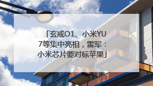 玄戒O1、小米YU7等集中亮相，雷军：小米芯片要对标苹果