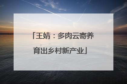 王婧：多肉云寄养 育出乡村新产业