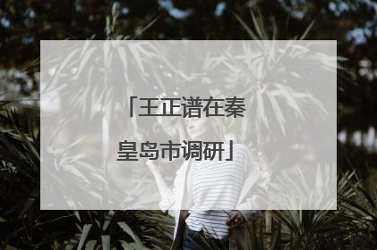 王正谱在秦皇岛市调研