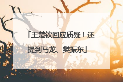 王楚钦回应质疑！还提到马龙、樊振东