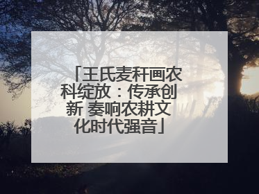 王氏麦秆画农科绽放：传承创新 奏响农耕文化时代强音