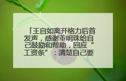 王自如离开格力后首发声，感谢董明珠给自己鼓励和帮助，回应“工资条”：清楚自己要什么，工资条不重要