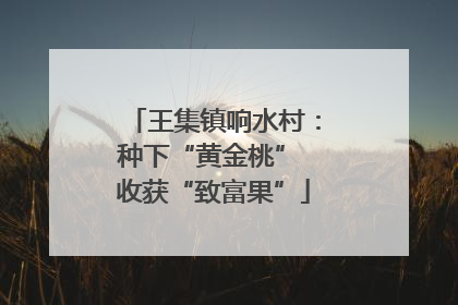 王集镇响水村：种下“黄金桃” 收获“致富果”
