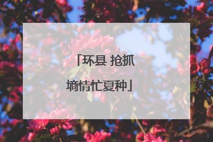 环县 抢抓墒情忙夏种