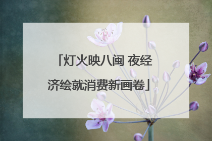 灯火映八闽 夜经济绘就消费新画卷