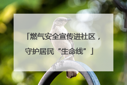 燃气安全宣传进社区，守护居民“生命线”