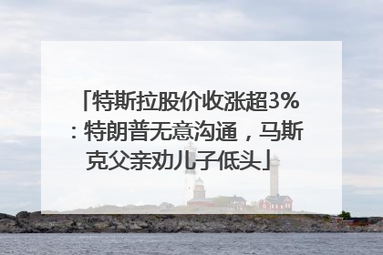 特斯拉股价收涨超3%：特朗普无意沟通，马斯克父亲劝儿子低头
