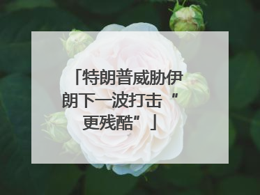 特朗普威胁伊朗下一波打击“更残酷”