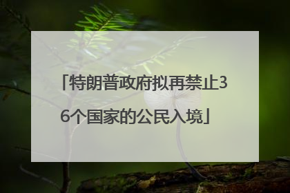 特朗普政府拟再禁止36个国家的公民入境