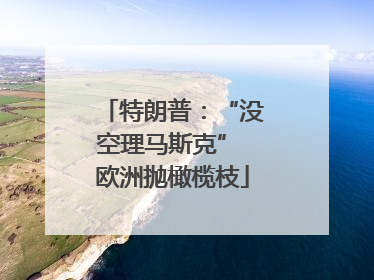 特朗普：“没空理马斯克” 欧洲抛橄榄枝