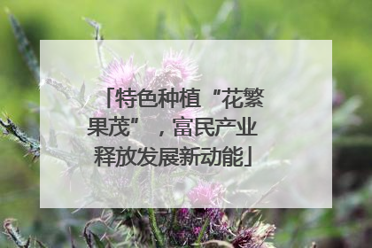 特色种植“花繁果茂”，富民产业释放发展新动能