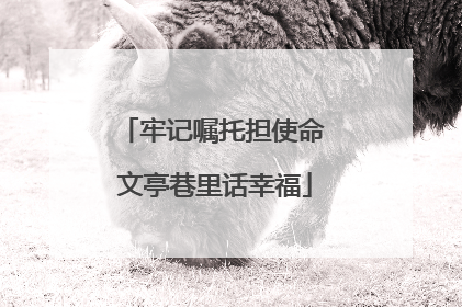 牢记嘱托担使命 文亭巷里话幸福