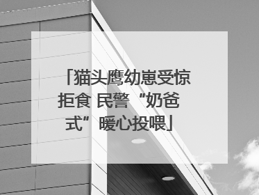 猫头鹰幼崽受惊拒食 民警“奶爸式”暖心投喂