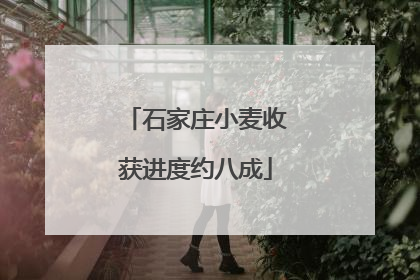 石家庄小麦收获进度约八成