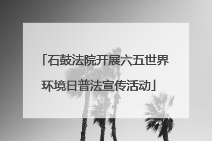 石鼓法院开展六五世界环境日普法宣传活动