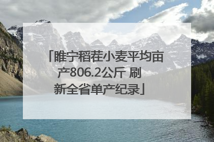 睢宁稻茬小麦平均亩产806.2公斤 刷新全省单产纪录