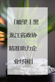 瞭望丨黑龙江省政协精准助力企业纾困