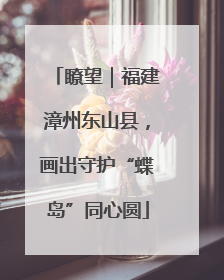 瞭望｜福建漳州东山县，画出守护“蝶岛”同心圆