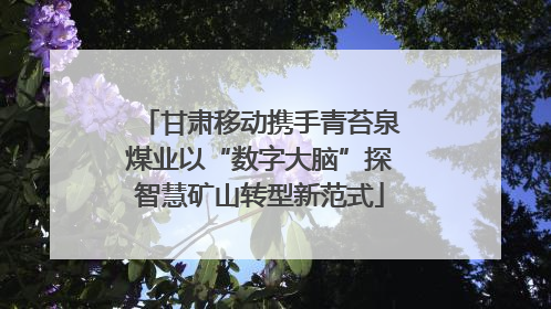 甘肃移动携手青苔泉煤业以“数字大脑”探智慧矿山转型新范式