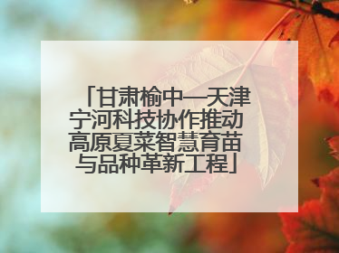 甘肃榆中—天津宁河科技协作推动高原夏菜智慧育苗与品种革新工程