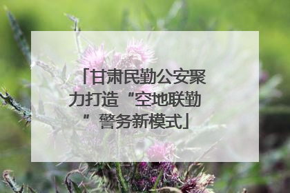 甘肃民勤公安聚力打造“空地联勤”警务新模式