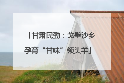 甘肃民勤：戈壁沙乡孕育“甘味”领头羊