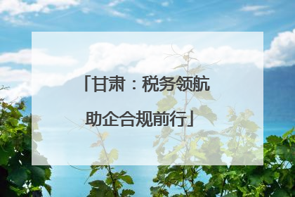 甘肃：税务领航 助企合规前行
