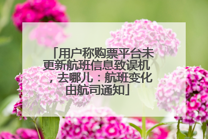 用户称购票平台未更新航班信息致误机，去哪儿：航班变化由航司通知