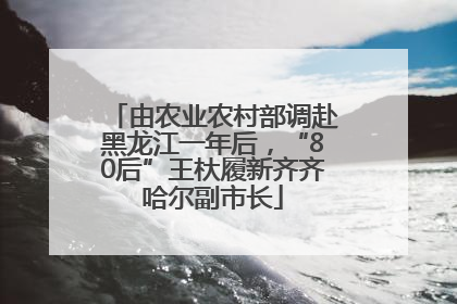 由农业农村部调赴黑龙江一年后，“80后”王杕履新齐齐哈尔副市长