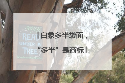 白象多半袋面，“多半”是商标