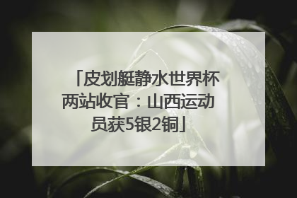 皮划艇静水世界杯两站收官：山西运动员获5银2铜
